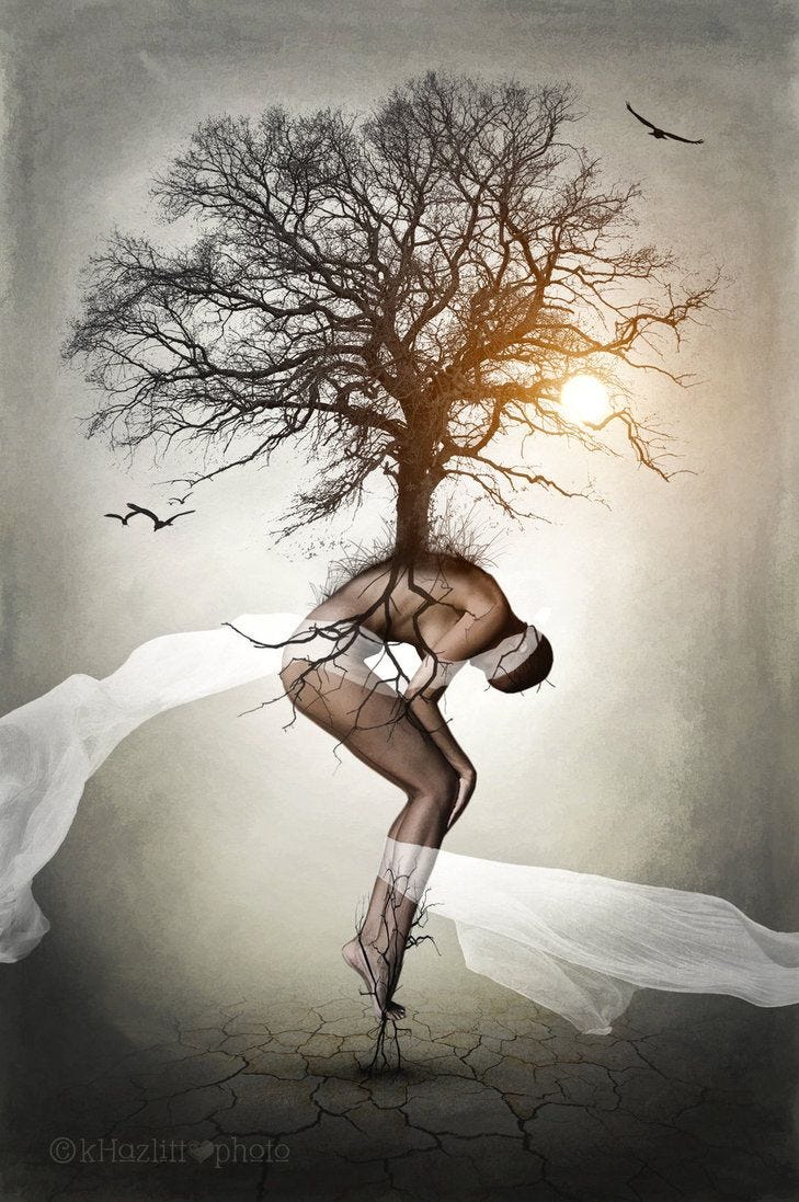 This may contain: a woman is bent over in front of a tree with the sun shining through it