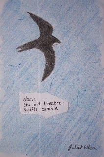 above/ the old theatre - swifts tumble