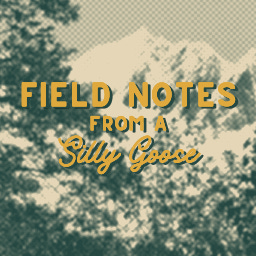 Field Notes from a Silly Goose
