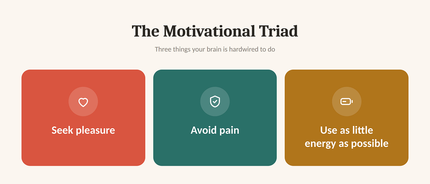 Graphic titled The Motivational Triad showing three cards: Seek pleasure, Avoid pain, and Use as little energy as possible.