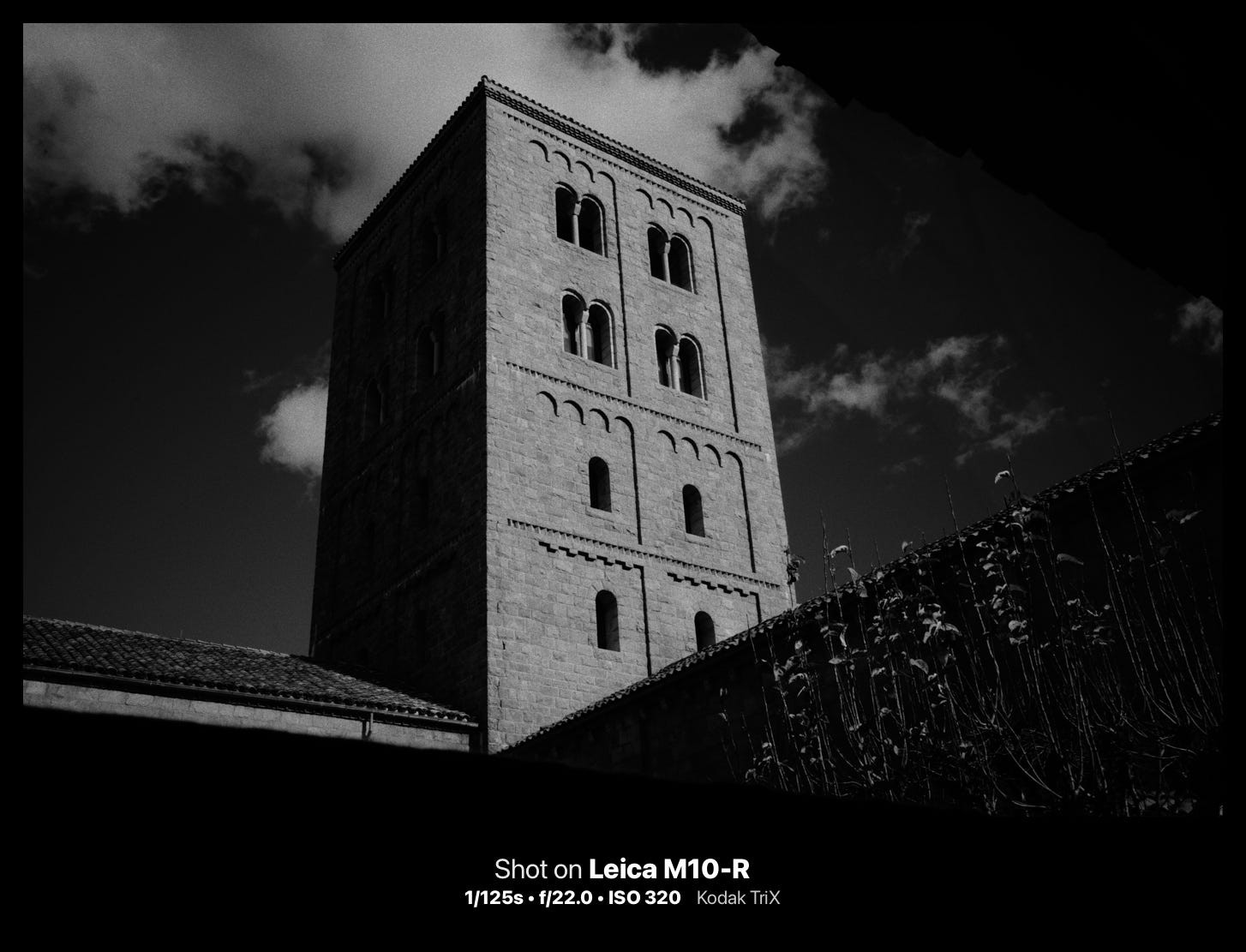 black and white photograph. cameraclara.com all rights reserved.