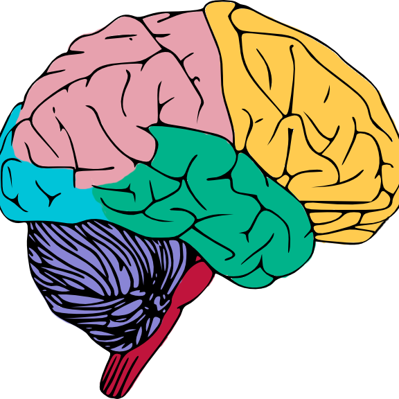 Psychology How logo