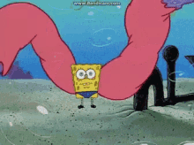 Spongebob Arms GIFs | Tenor