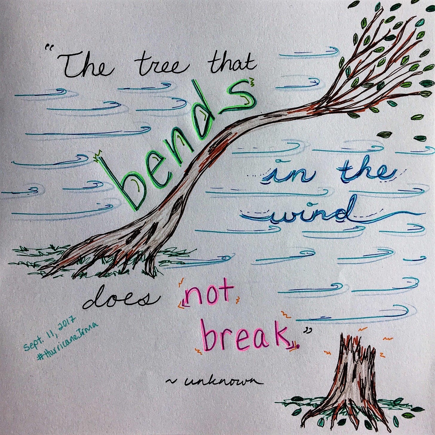 An hand drawing of one tree bending in the wind while another is broken off at the stump. The words "The tree that bends in the wind does not break." are scripted artistically through the drawing. The quote is attributed to unknown and a small note is written in block print with the date September 11, 2017 #HurricaneIrma An hand drawing of one tree bending in the wind while another is broken off at the stump. The words "The tree that bends in the wind does not break." are scripted artistically through the drawing. The quote is attributed to unknown and a small note is written in block print with the date September 11, 2017 #HurricaneIrma