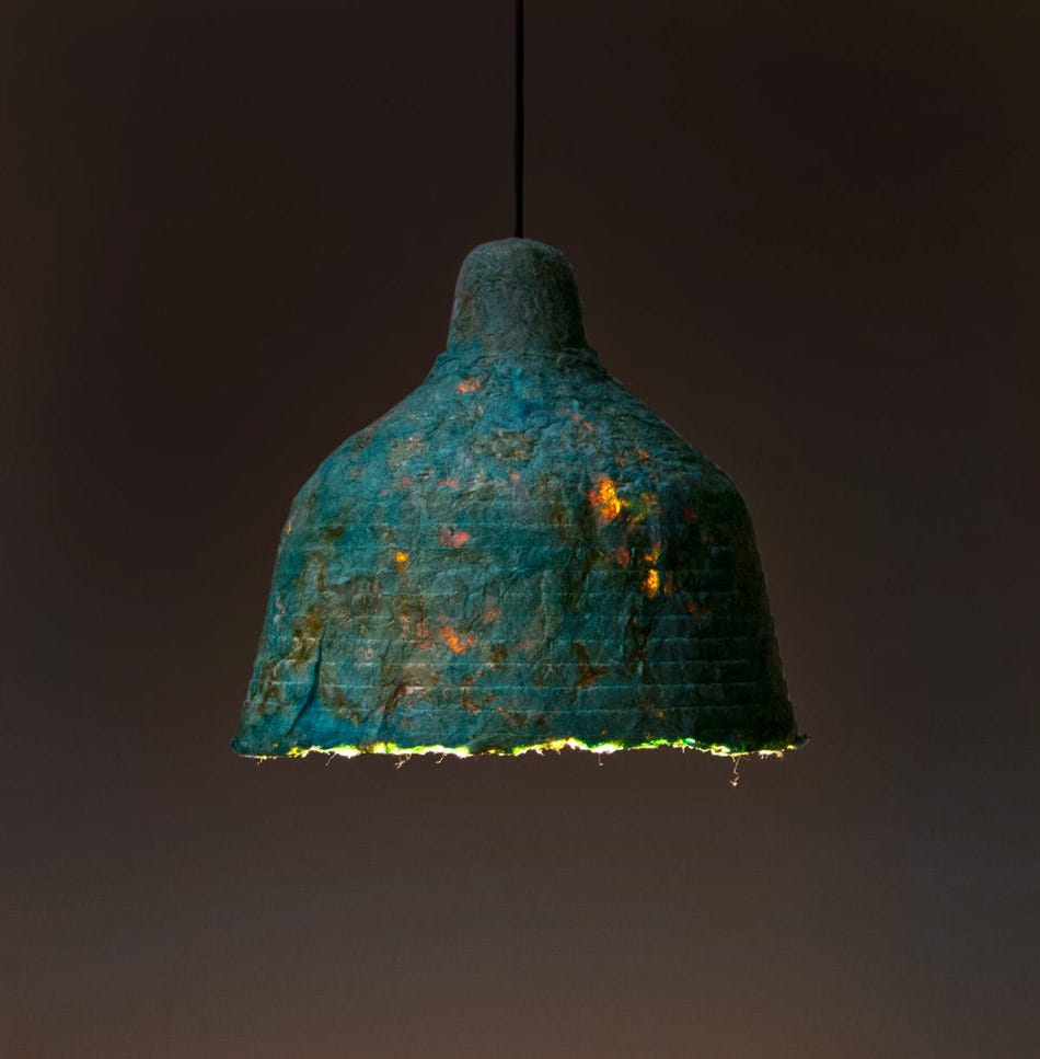 jonas edvard nielsen grows MYX lamps from mushroom-mycelium