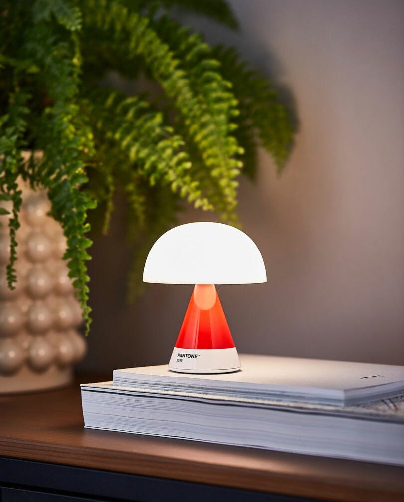 A small table lamp with a red base and white dome shade sits on a closed book, next to a potted fern plant.
