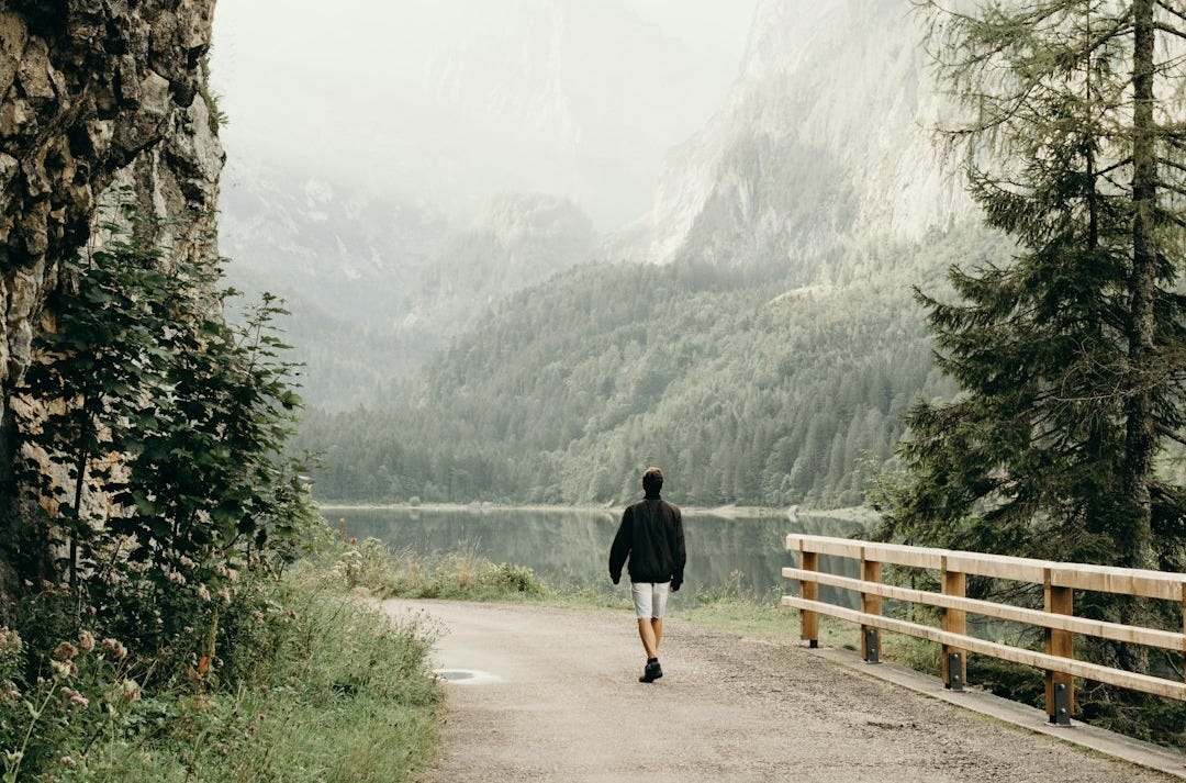 person wearing black jacket walking on road near the tree person wearing black jacket walking on road near the tree
