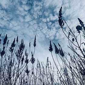 Writing Update February 2024