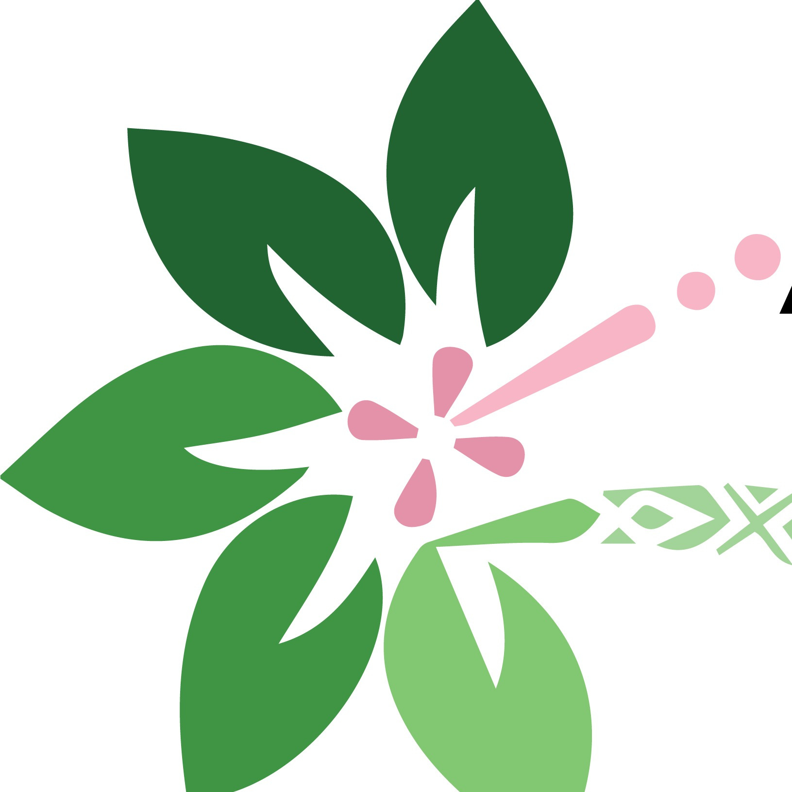 Pacific Islands Reflections