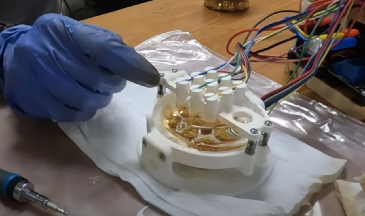 Cientistas treinaram uma tigela de gosma para jogar videogame Pong. Cientistas treinaram uma tigela de gosma para jogar videogame Pong.