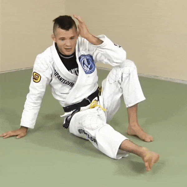 The Four Variations of the BJJ Technical Standup - Grapplearts