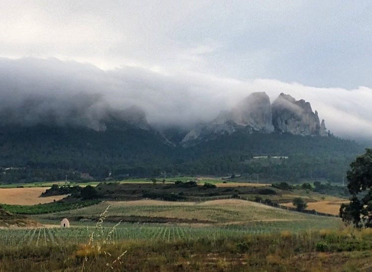from the Ruta del Vino Rioja Alta Facebook page in Spanish.)