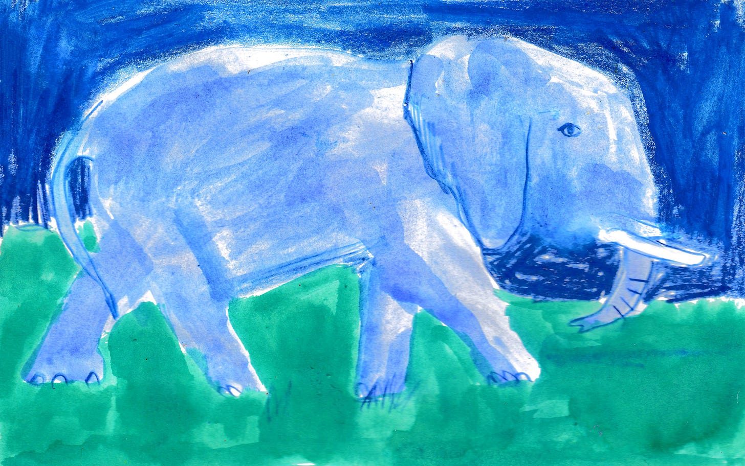 Elephant drawing by Beth Spencer