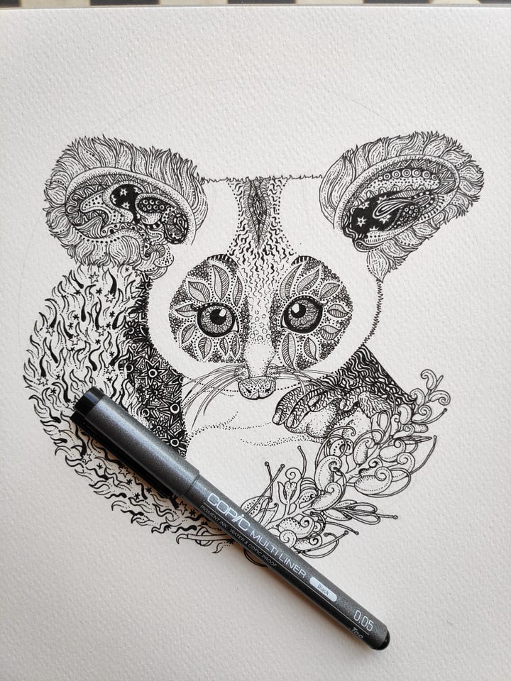 Greater Glider Drawing WIP