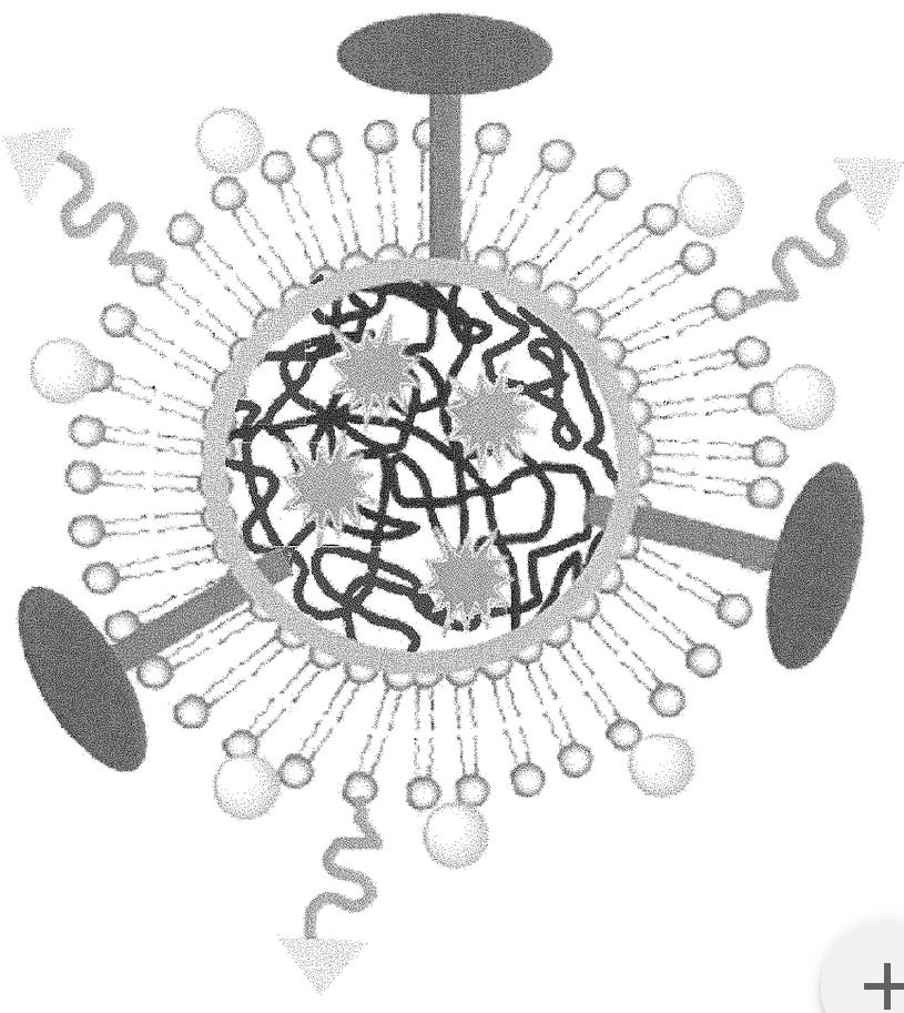 When Biology Meets Technology: Harnessing the Power of Bioinformatics- It's all blasphemy