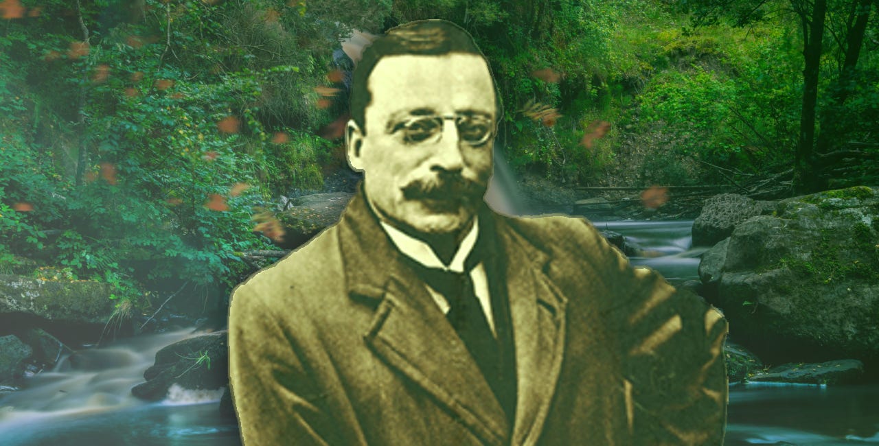Arthur Griffith's Economics