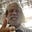 Ken Gremillion's avatar