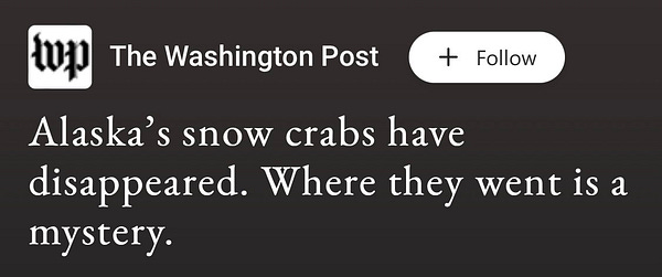 The Washington Post
Alaska’s snow crabs have disappeared. Where they went is a mystery.