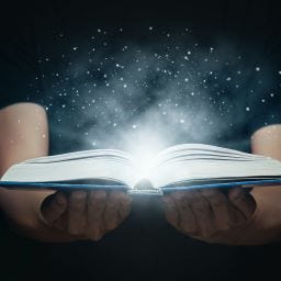The Swan Scribbler