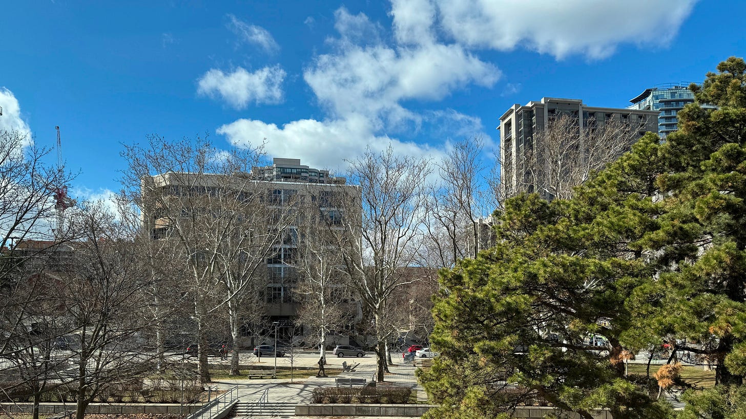 A view of the west side of City Hall and Bay Street South from the Ward 2 office in March 2026 A view of the west side of City Hall and Bay Street South from the Ward 2 office in March 2026