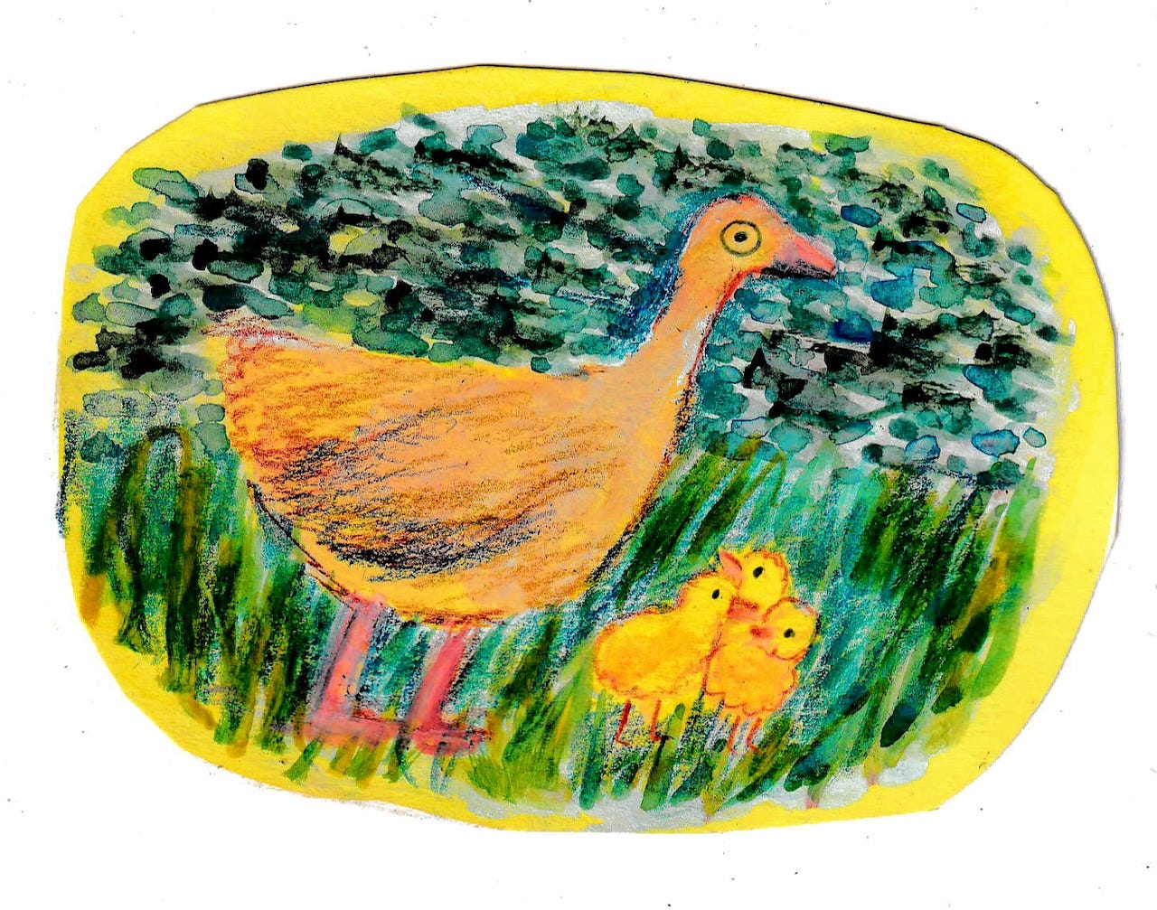 ducks illustrated by Beth Spencer ducks illustrated by Beth Spencer