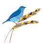 Bluebird Grain Farms's avatar
