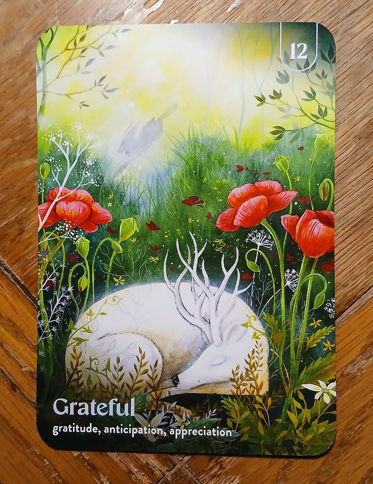 ARTWORK: Amanda Clark