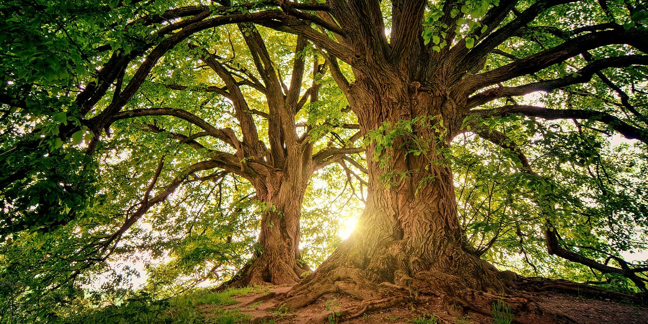 The god of This Age Has Blinded the Minds of Unbelievers