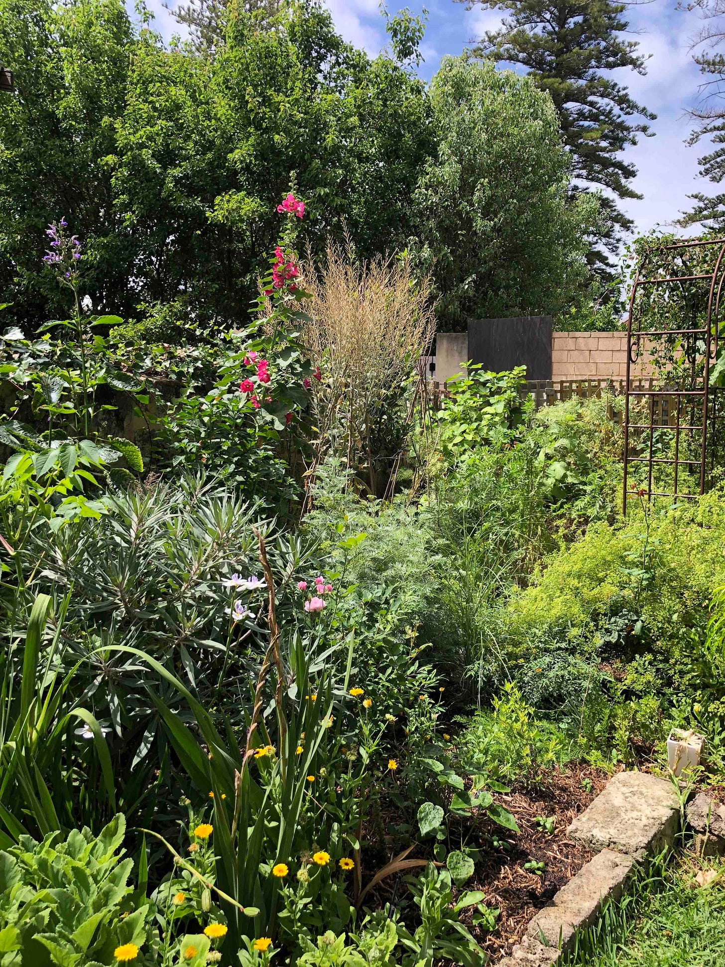 A combination of annuals and perennials that thrive in Perth’s hot summers