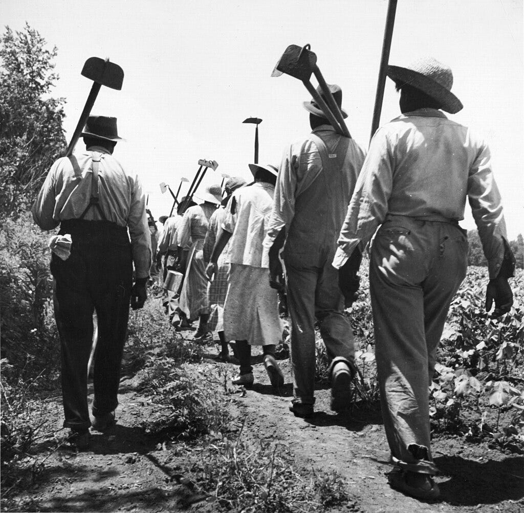 Black and white image of farm workers walking through a field carrying hos. Black and white image of farm workers walking through a field carrying hos.