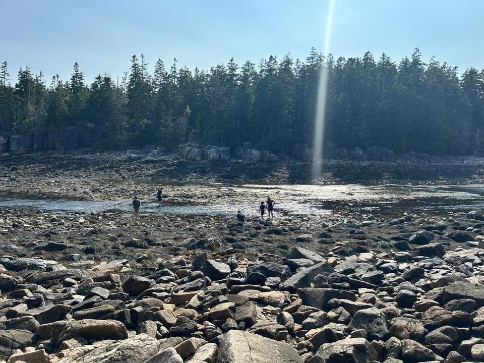 A rocky inlet with moss-covered rocks in the foreground, four people near the small channel of water, and a group of tall pines in the background.