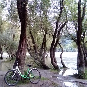 VIDEÓ: Ősz az idő... - Kisoroszi szigetcsúcs, 2021.09.05.