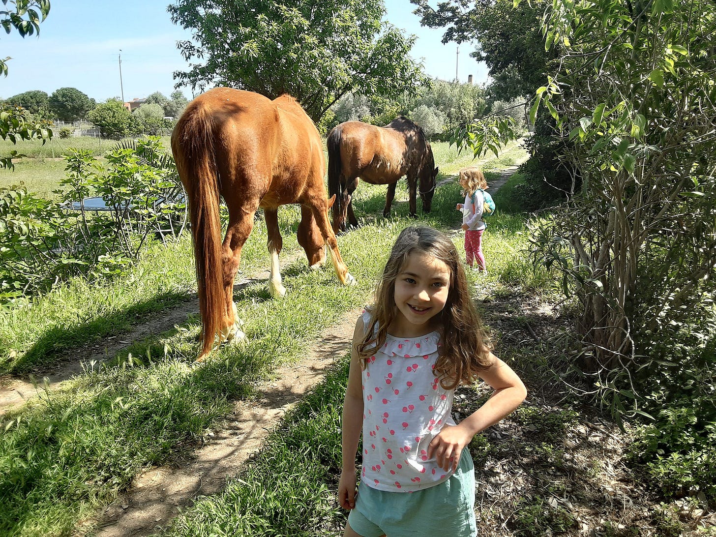two young girls watch two large brown horses grazing in the path