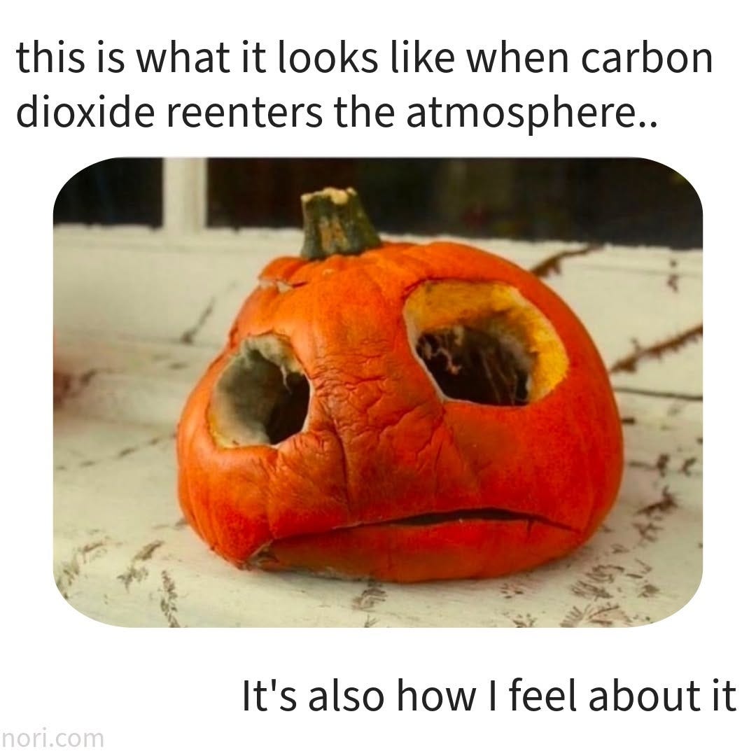 A rotting, collapsing jack-o'-lantern, with the text "this is what it looks like when carbon dioxide reenters the atmosphere.. It's also how I feel about it".