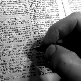 "Read Romans 11," they Parrot