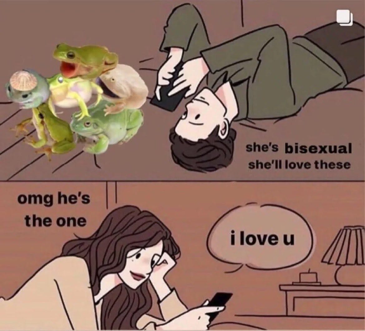 The newest queer icon: Frogs - by Brian Feldman - BNet