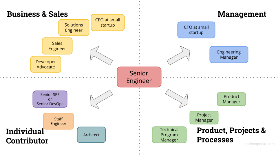 Career Growth: What Paths After Senior Engineer | Code Capsule