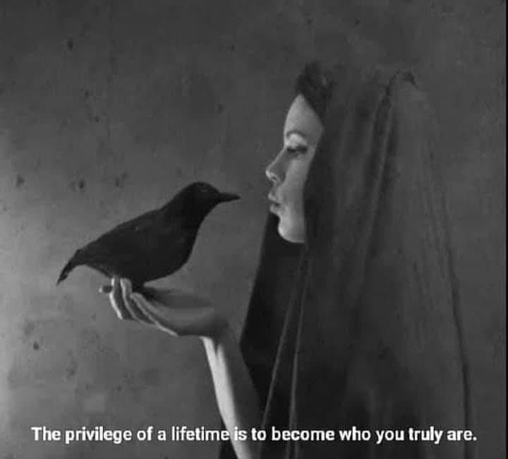 The Privilege Of A Lifetime Is To Become Who You Truly Are