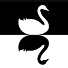 The Black Swan Factory