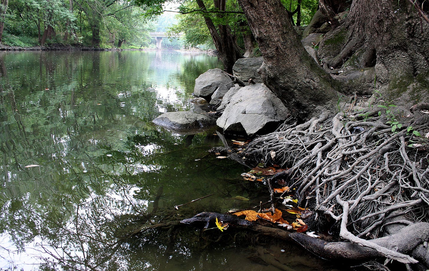 The White River at Daleville
