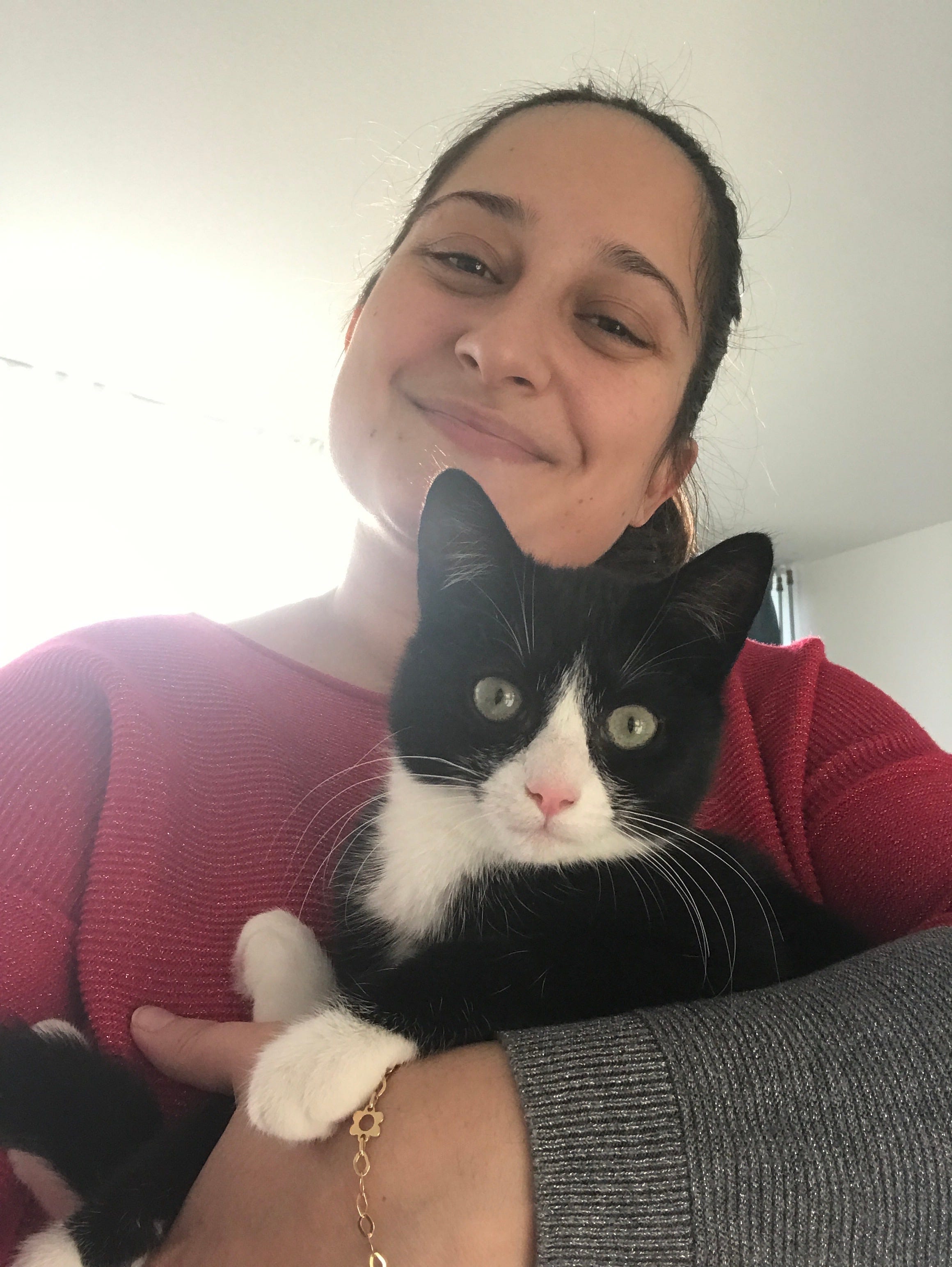 Knitting In Holland’s Substack