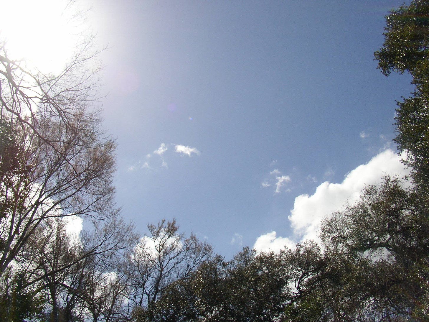 View of February sky in Louisiana