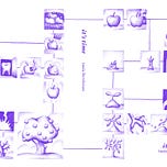 Tania’s Highly Irregular Newsletter & Unbox Your Words