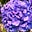 m4dlb's avatar