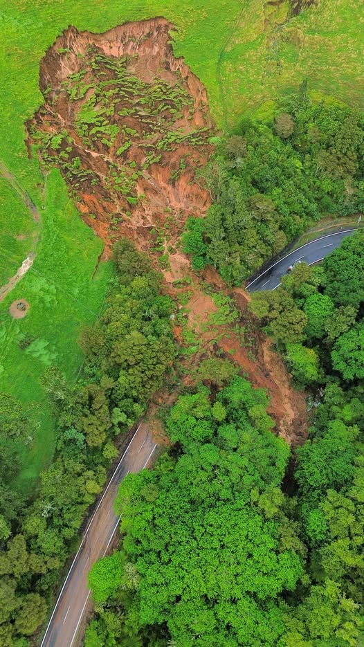 May be an image of road and grass