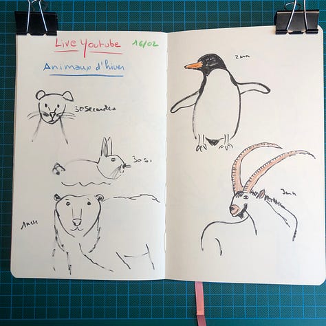 photos des 6 doubles-pages où j'ai dessiné au crayon Pitt Graphite Matt de Faber-Castell et crayons de couleurs Luminance de Caran d'Ache