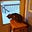 Deb's avatar