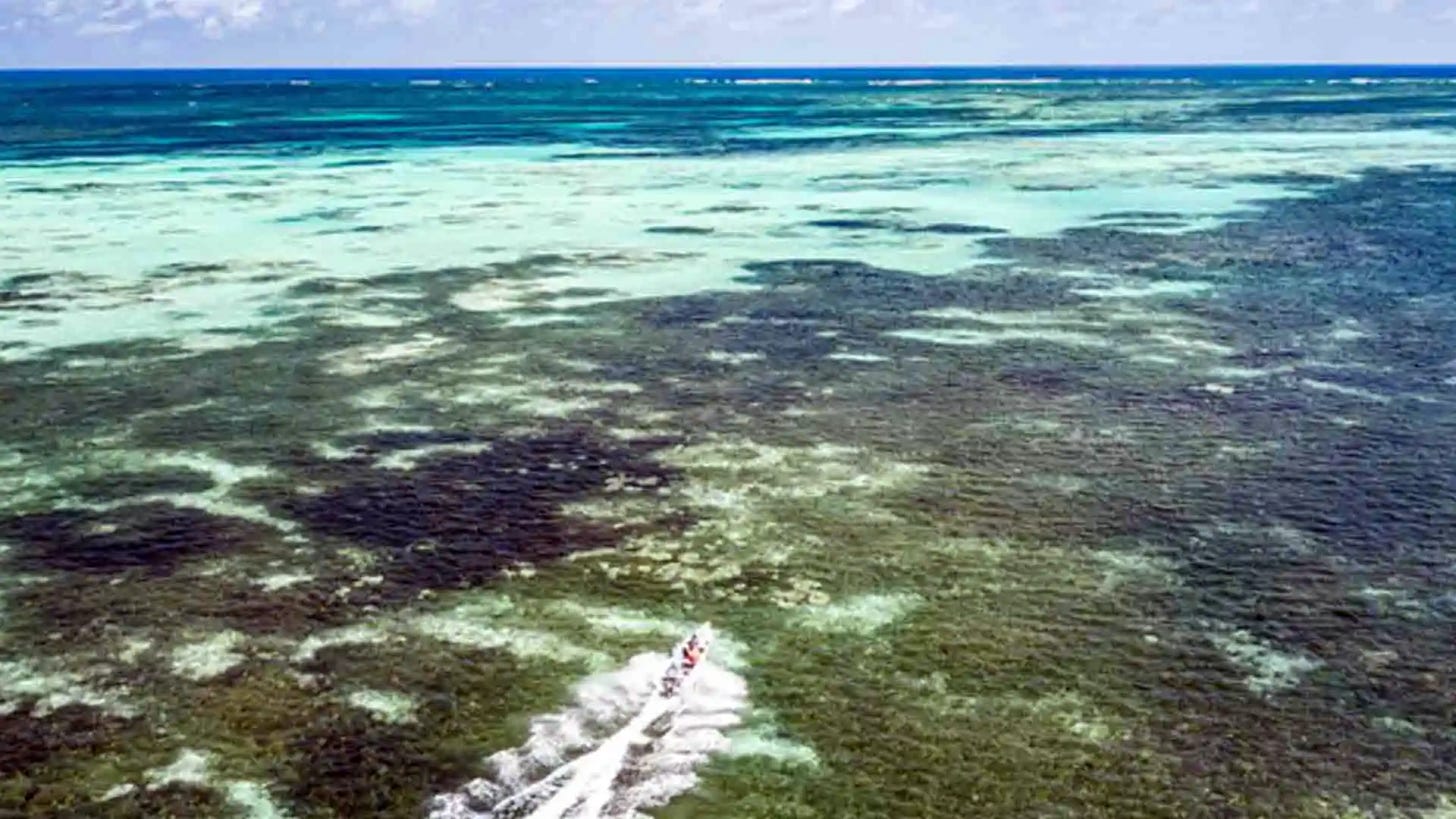 Providence, a remote and pristine atoll in the Seychelles, offers pristine, undisturbed waters teeming with inshore and offshore species. With its white sandy beaches and vibrant coral reefs, the atoll is an unforgettable destination for any fly angler.