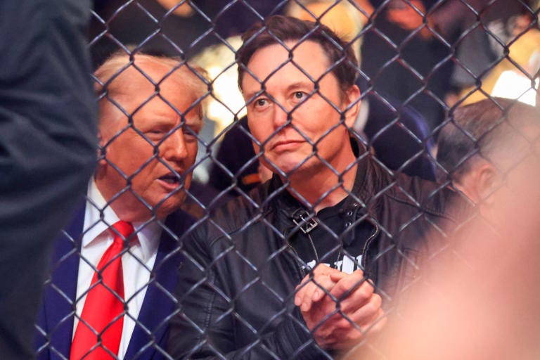 Elon Musk hangs with Trump at UFC 309, X keeps track of all their  shenanigans