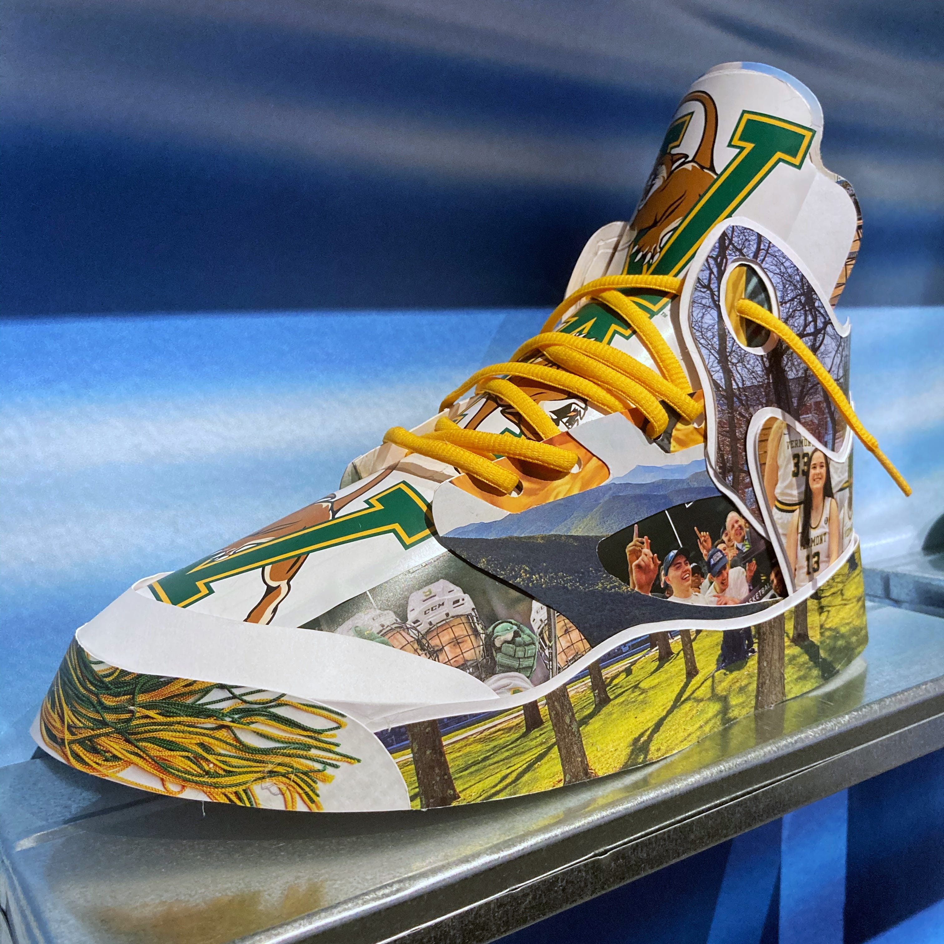 Overboard, and the Great Sneaker Spill - by Susan B. Apel